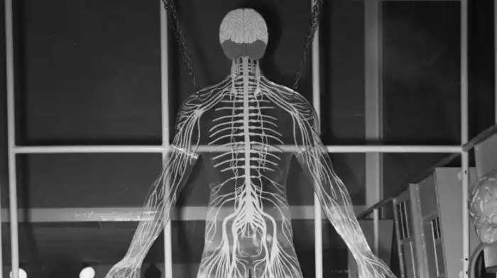 Странные способности нашего тела