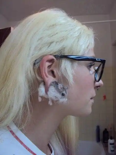 Адский трэш и вакханалия