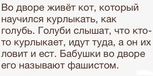 Понедельничная подборка перлов