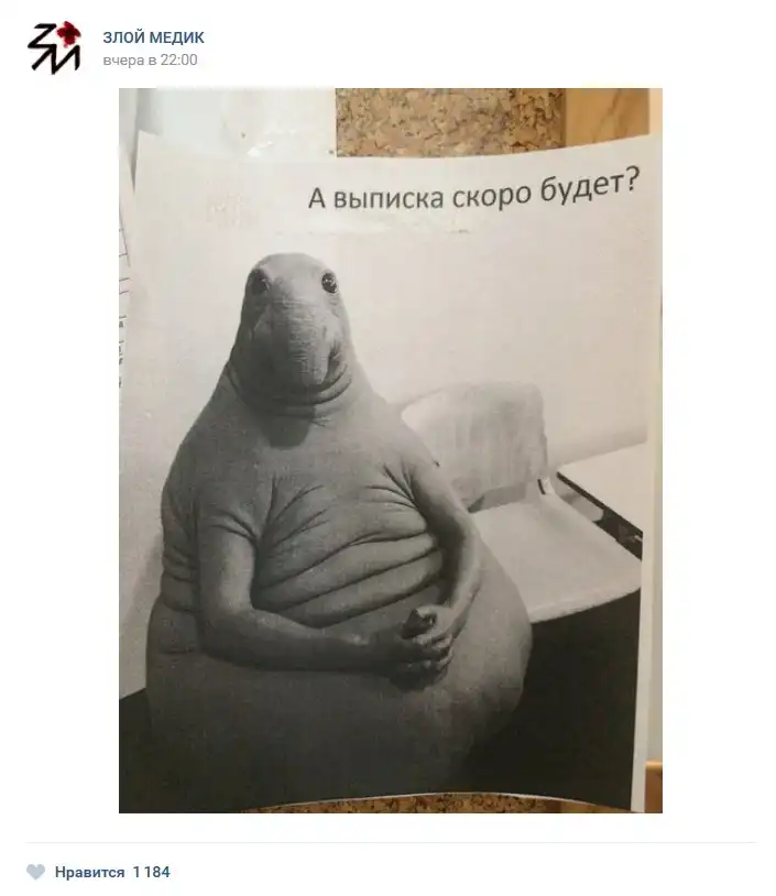  картинки arhivach.org попки [[[[ Истории врачей, Злой медик | uCrazy.org