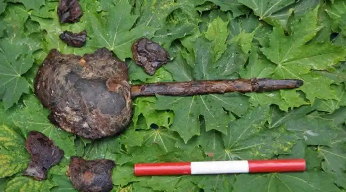 Находки, которые скрывают тайны истории