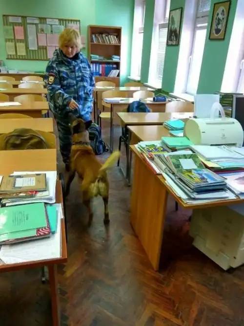 В Cестрорецке в ходе антинаркотического рейда школьников поставили лицом к стене
