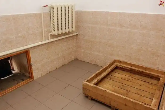 Первый рабочий день полицейских щенков в Перми