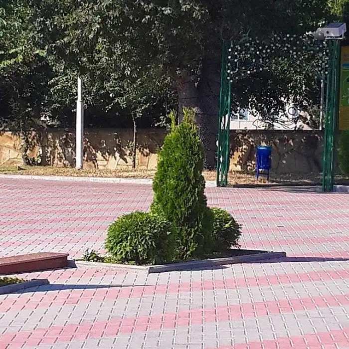 Необычные фотографии, которые помогут определить вашу стадию испорченности