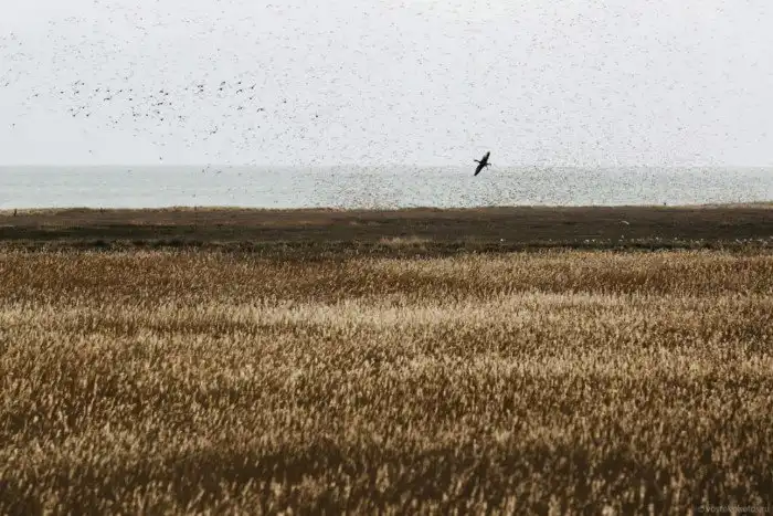 Как выглядит самый дальний и дорогой остров в Германии