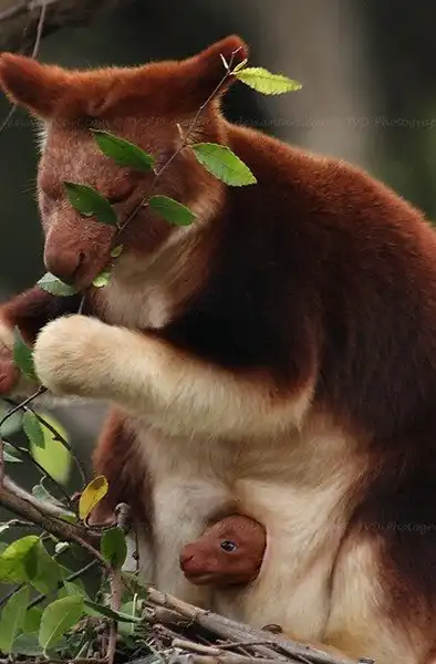 ПОЗИТИВНЫЙ ПОСТ+ 466