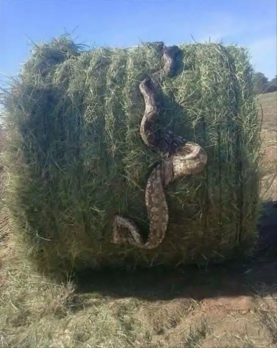 ПОЗИТИВНЫЙ ПОСТ+ 468