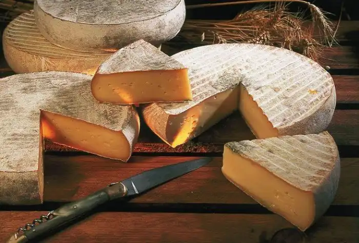 Любопытные факты о сыре