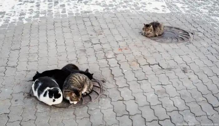 Прогулка по белорусскому Гродно