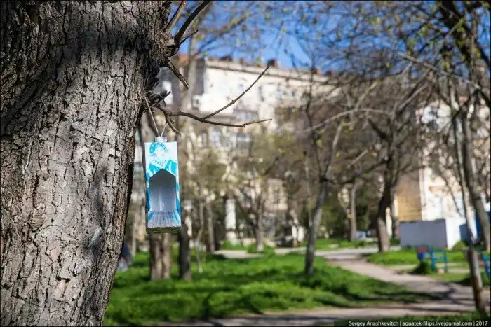 Перемены Севастополя