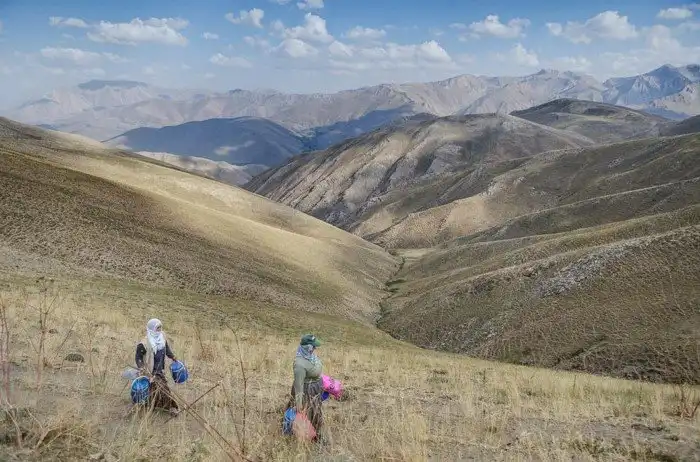 Повседневная жизнь людей турецкой глубинки