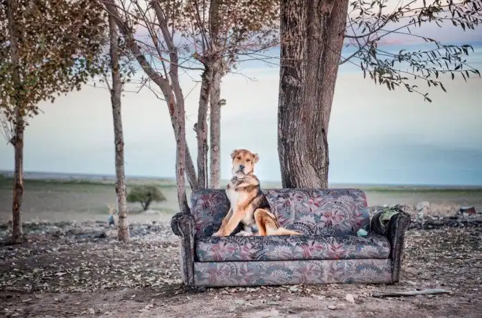 Повседневная жизнь людей турецкой глубинки