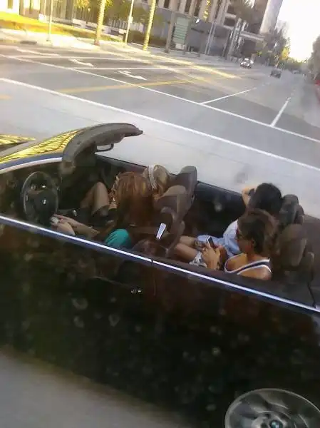 Возможные претенденты на Премию Дарвина