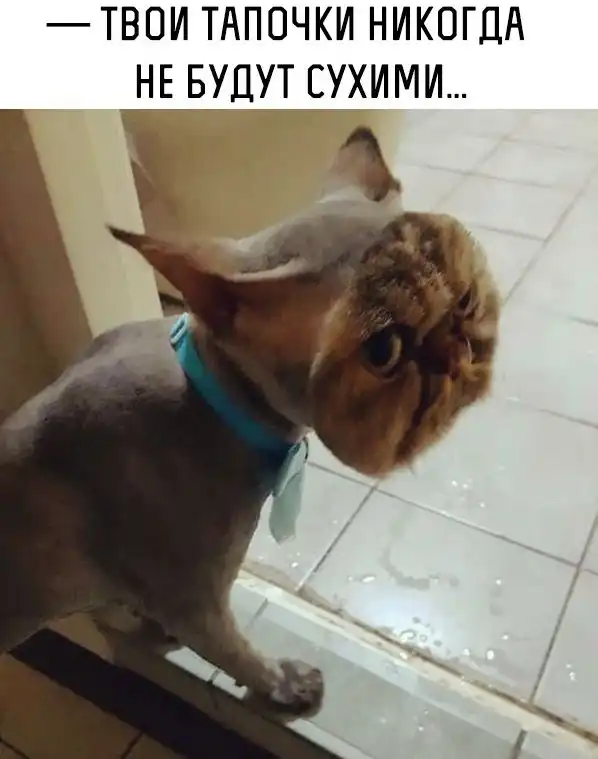 Деградация