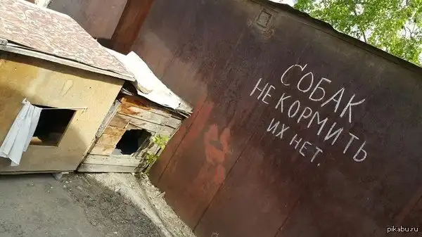 Прикольные надписи и объявления