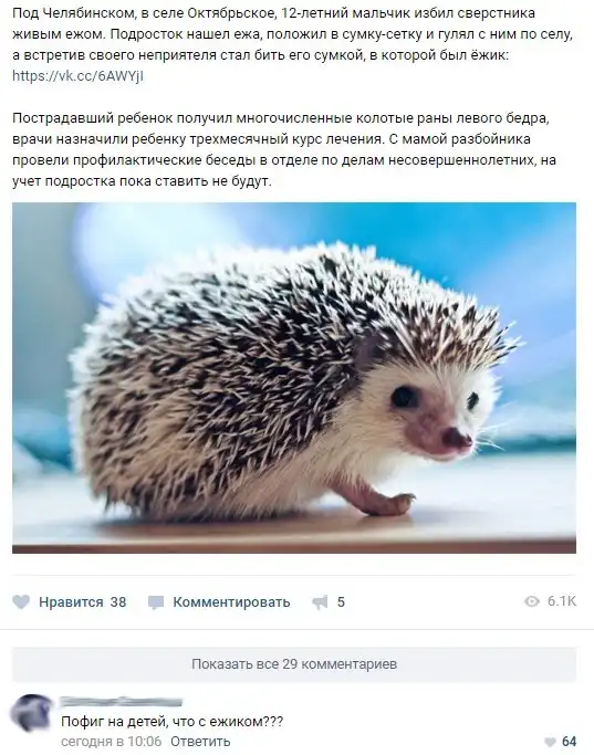 Смешные комментарии из социальных сетей