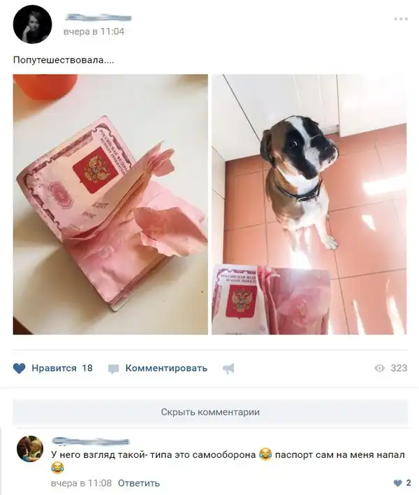 Смешные комментарии из социальных сетей