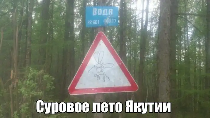 Прикольные картинки абавсём:D (13.06.17)