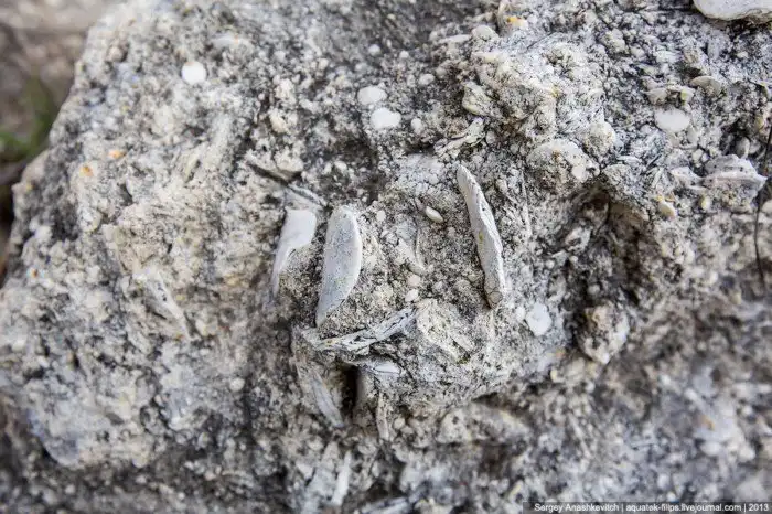 Ак-Кая или Белая скала - каменная красавица Крыма