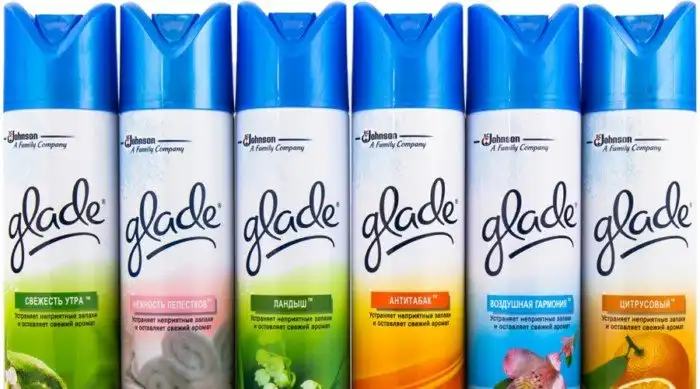 Вещи, которые нельзя держать дома