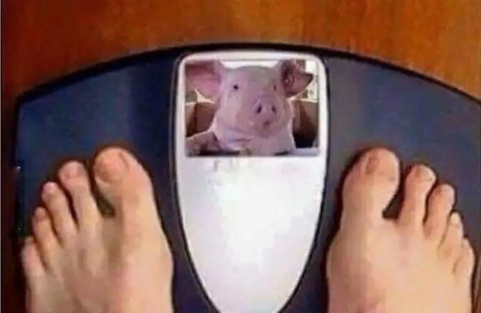 Самый злой пост о тех, кому не хватает мотивации для занятий спортом