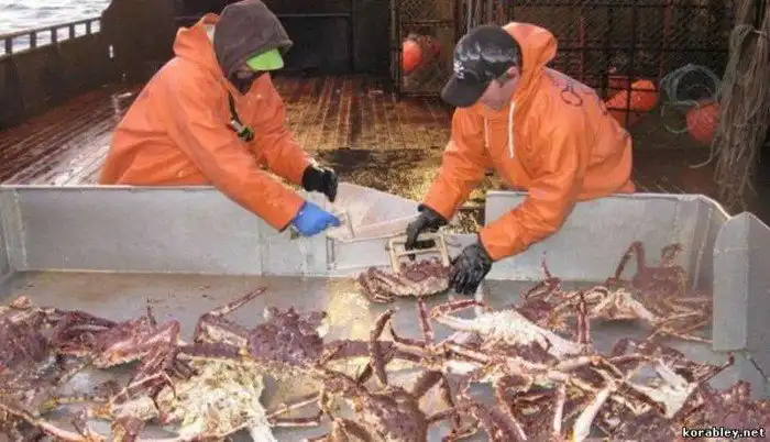 Как американцы ловят камчатских крабов