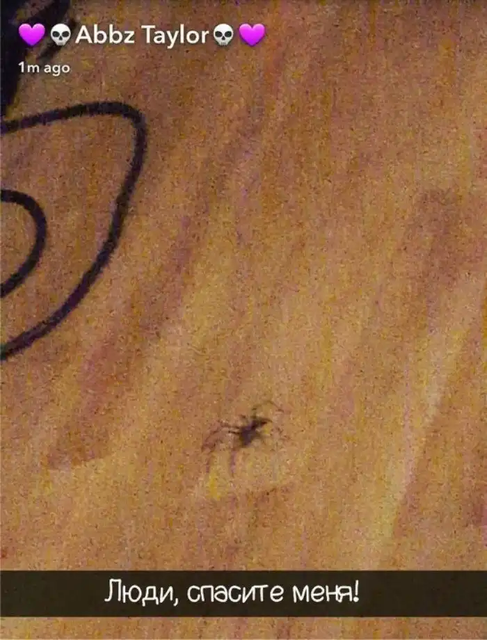 Маленькие различия: чем отличаются Британия и Австралия?