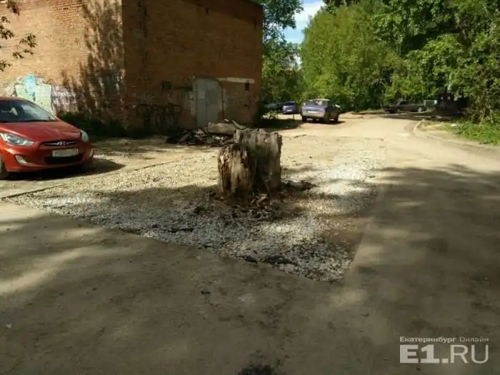 В Екатеринбурге старый пень посреди дороги закатали в асфальт
