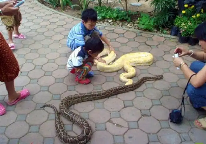 Приколы из Таиланда