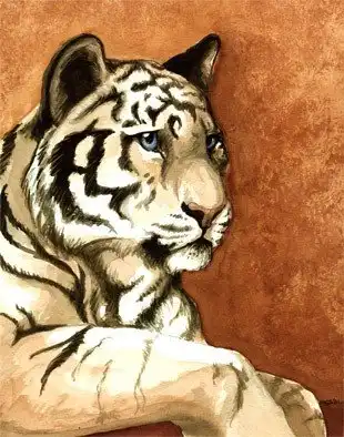 Нарисованная красота. Тигры