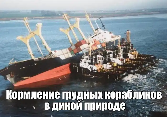 Прикольные картинки абавсём:D (18.07.17)