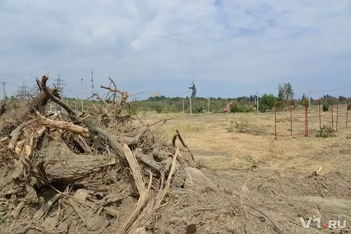 В Волгограде вырубили последние деревья Мемориального парка у Мамаева кургана