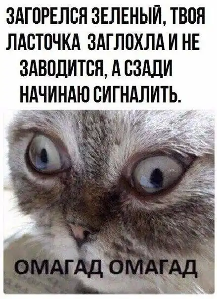 Обеденные приколы :)