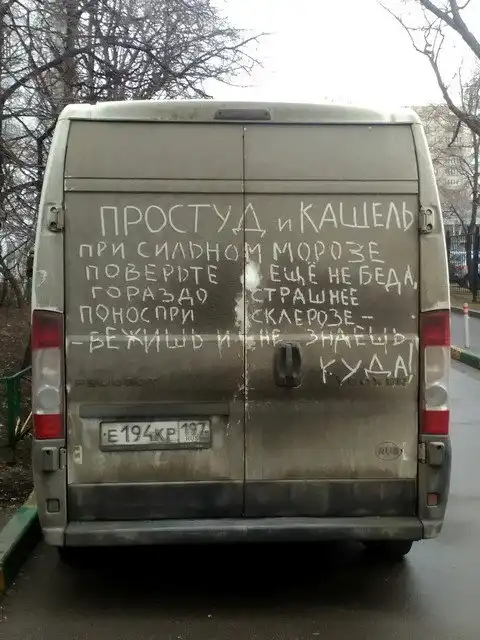 Автовсячина