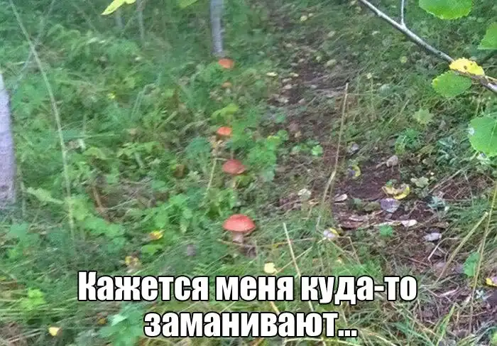 Прикольные картинки абавсём:D (04.07.17)