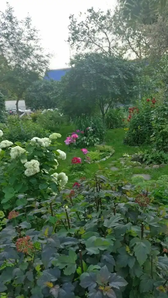 Красота в обычном московском дворе