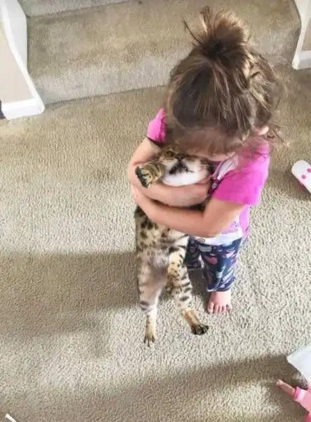 Прикольные картинки абавсём:D (26.07.17)