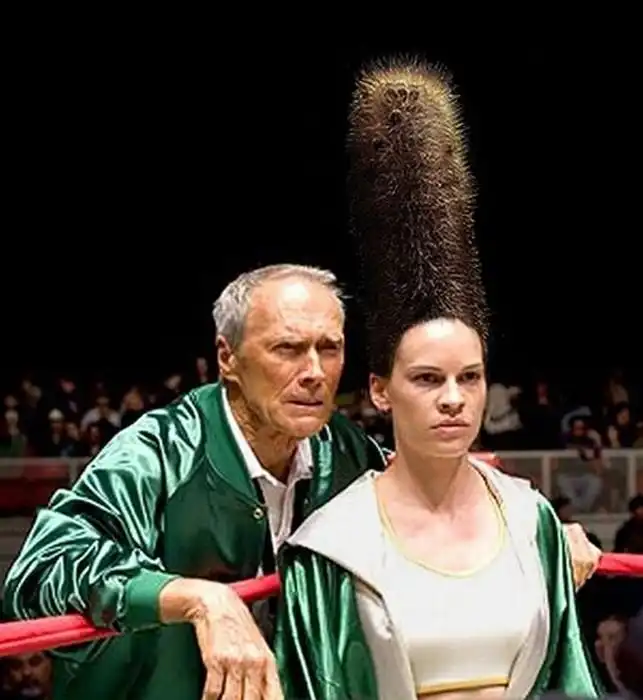 Фотожабы на тему прикольных причесок звезд