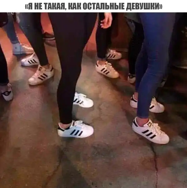 Журнал школьный деградант