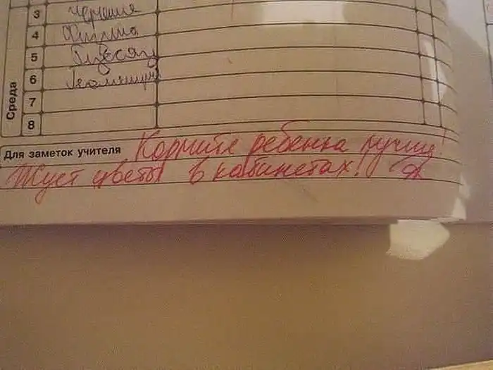 Замечания в дневниках