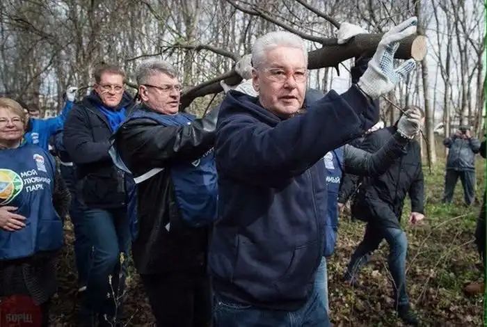Чиновники выбрали ветку не по размеру