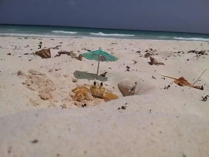 Фотограф ждал 20 минут, чтобы сделать этот кадр