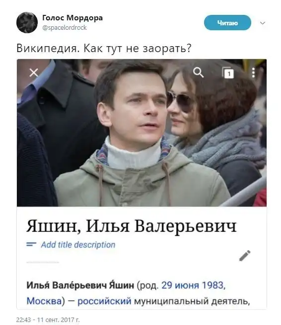 О политике + 242