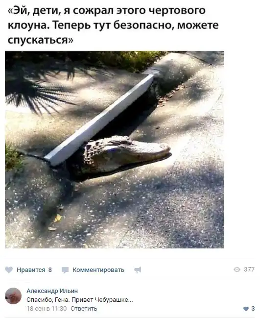 Смешные комментарии из социальных сетей