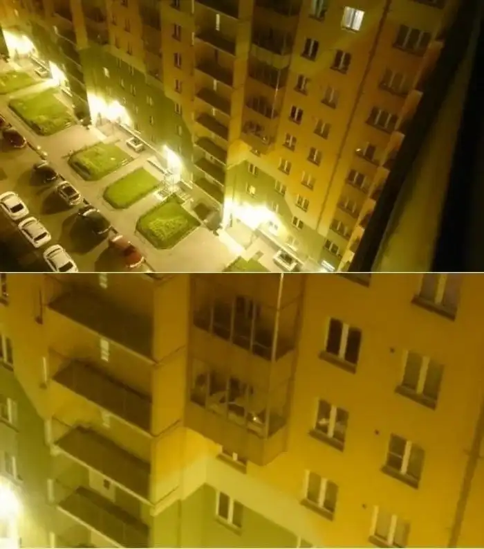 23 фотографии из серии "Что тут происходит?"