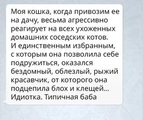 Женская логика - непростая наука