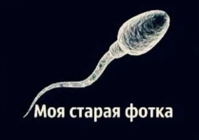 Забавные картинки с креативными подписям