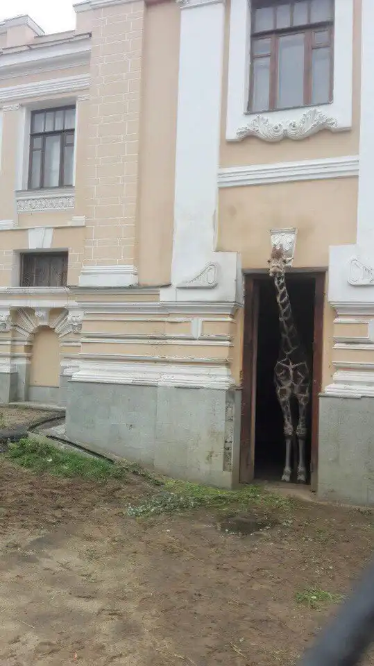 ПОЗИТИВНЫЙ ПОСТ+ 603