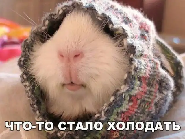 Прикольные картинки абавсём:D (18.10.17)