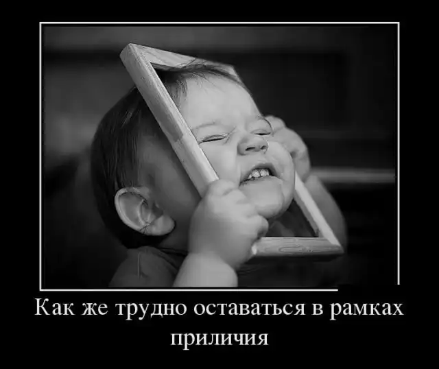 Демотиваторы (24.10.17)